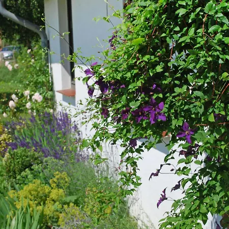 Hiddensee By Interhome *