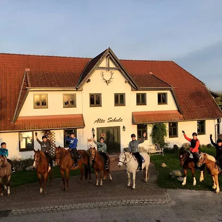 Hiddensee By Interhome * Dargun